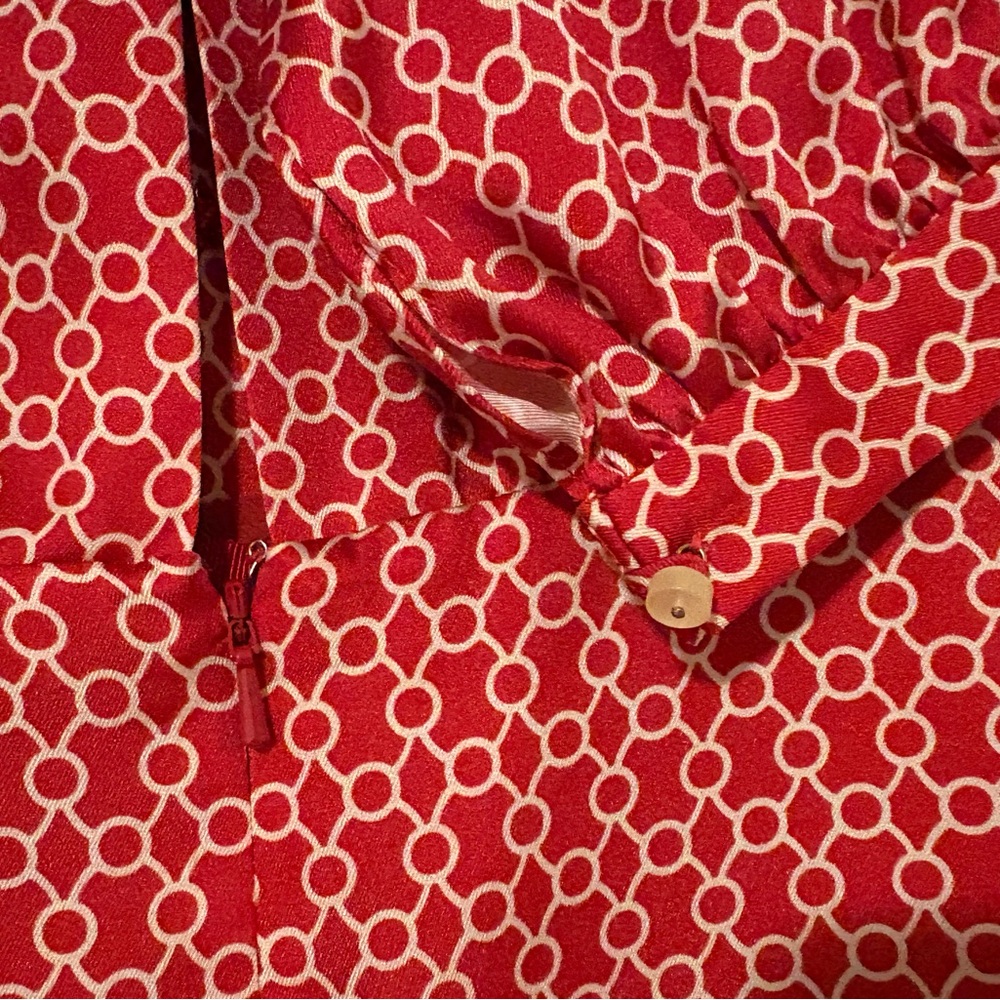ALEXIS Coretti Mini Dress in Rouge Rolo - Picture 5 of 9